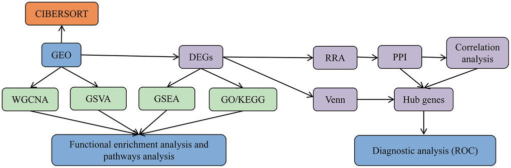 Data analysis and processing flow. The data processing in this study is divided into five steps.