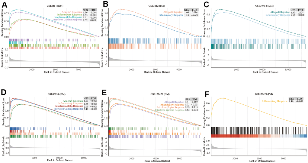 Gene set enrichment analysis (GSEA) results of six microarrays. Normalized enrichment score (NES) demonstrates the analysis outcomes across gene sets. False discovery rate (FDR) indicates if a set was meaningfully enriched. (A) GSE1551 (dermatomyositis, DM); (B) GSE3112 (polymyositis, PM); (C) GSE39454 (DM); (D) GSE46239 (DM); (E) GSE128470 (DM); (F) GSE128470 (PM).