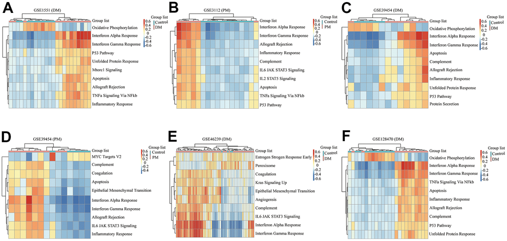 Gene set variation analysis (GSVA) results of six microarrays. (A) GSE1551 (dermatomyositis, DM); (B) GSE3112 (polymyositis, PM); (C) GSE39454 (DM); (D) GSE39454 (PM); (E) GSE46239 (DM); (F) GSE128470 (DM).