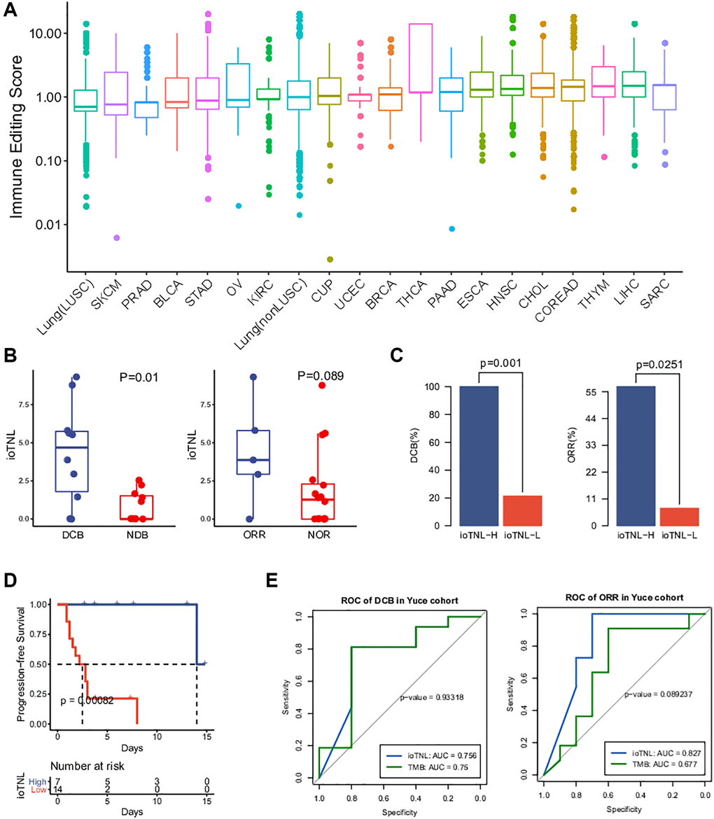 Landscape of immune editing score and application of ioTNL on panel-based Yuce cohort. (A) Landscape of immune editing score in 20 cancer types. The immune editing scores were scale in log10 on y-axis. 20 cancer types were label on x-axis and arranged in ascending order by their median immune editing score. (B) Boxplots of the distribution of ioTNL scores between patients with DCB and NDB (left), also with ORR and NOR (right). (C) Barplots of DCB rate (left) and ORR rate (right) between ioTNL-H group and ioTNL-L group. (D) Kaplan-Meier analysis of patient progression-free survival between ioTNL-H group and ioTNL-L group. (E) Comparison of sensitivity and specificity between ioTNL and TMB in predicting patient DCB (left) and ORR (right).