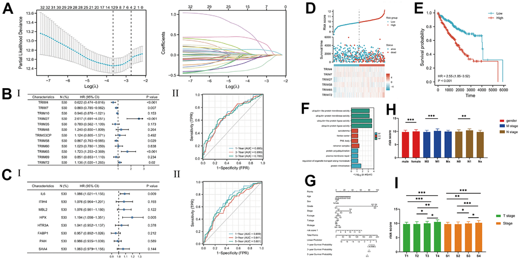 (A) The lasso analysis; (B, C) The Cox analysis and ROC analysis for two risk score; (D) The risk score and 6 TRIM genes' expression level; (E) The KM analysis of risk score; (F) The nomogram of the risk score and other clinical information; (G) The enrichment function analysis; (H, I) The detail expression level of the risk score in different clinical stages.