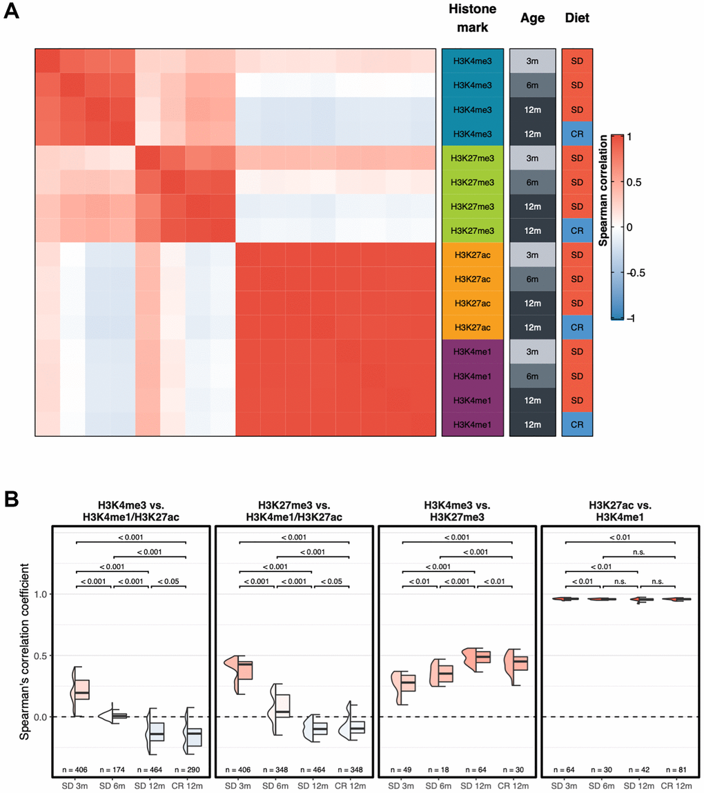 Genome-wide correlation patterns between histone modifications by group. (A) Heatmap showing the Spearman’s correlation coefficient for each combination of experimental groups after merging the replicates. (B) Box plots of Spearman’s correlation coefficients of each replicate between different groups of histone modifications. Two-sided Wilcoxon test p-value are shown.