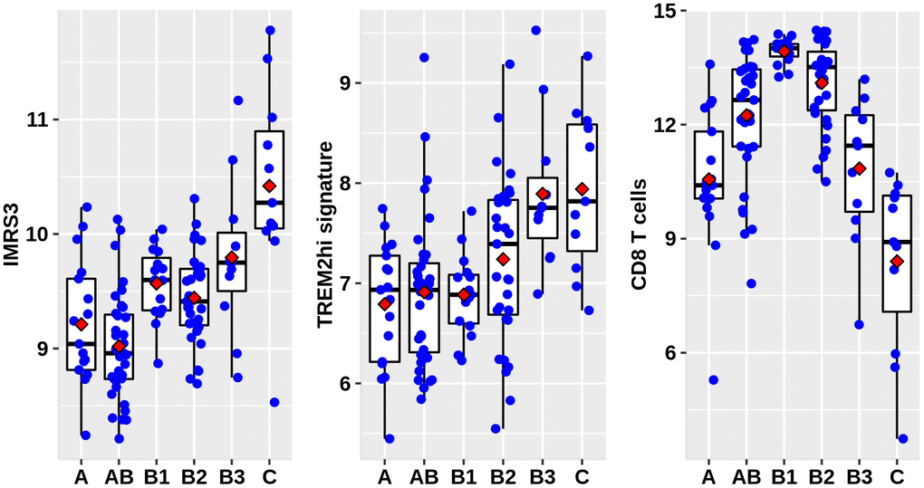 Distribution of IMRS3, TREM2hi signature, and abundance of CD8+ T cells among the WHO classification. Data were obtained from 122 thymoma gene expression values, as well as phenotype files and survival data all from the UCSC, expression matrix in the format of log2(x+1) transformed RSEM normalized counts.