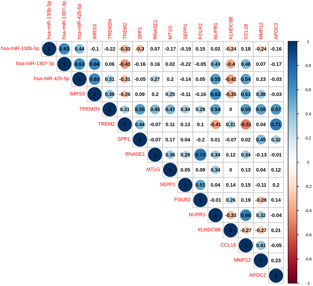 Pairwise correlation of TREMhi signature, microRNAs, and eleven genes in TREM2hi signature of 120 THYM samples.