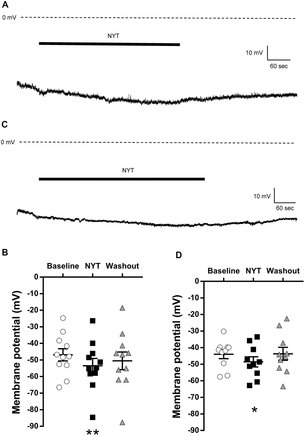 The effects of NYT on the resting membrane potential of VTA and SNpc DAergic neurons. (A) The representative resting membrane potential recording of a VTA DAergic neuron. (B) The effect of NYT on the resting membrane potential of VTA DAergic neurons (n = 11 from eight mice). (C) The representative resting membrane potential recording of an SNpc DAergic neuron. (D) The effect of NYT on the resting membrane potential of SNpc DAergic neurons (n = 10 from seven mice). Error bars are expressed as mean ± SEM. Statistical analyses were performed by one-way RM ANOVA followed by Dunnett’s multiple comparisons test, *p 