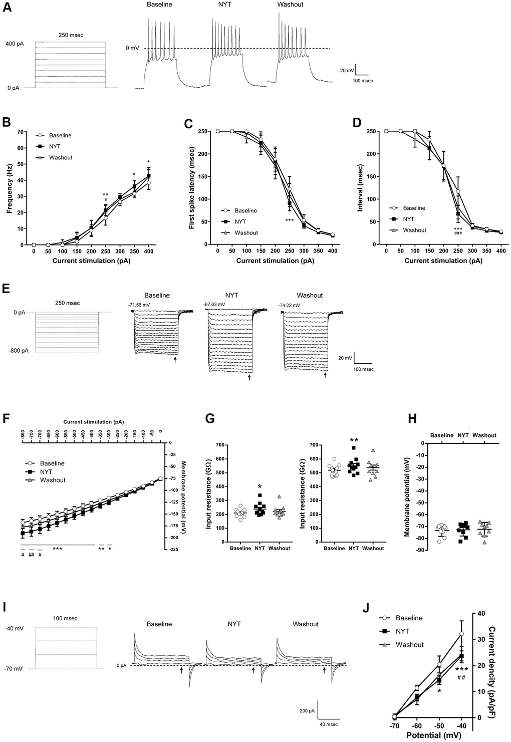 The effects of NYT on the electrophysiological properties of MSNs in the NAc core subregion. (A) The protocol of positive current injections (50 pA increments from 0 to 400 pA, 250 msec) and the representative membrane potential recordings obtained by 200 pA current injection. The relationship of (B) firing frequency, (C) first spike latency and (D) interspike interval obtained by positive current injections (n = 11 from seven mice). (E) The protocol of negative current injections (50 pA increments from -800 to 0 pA, 250 msec) and the representative membrane potential recordings obtained by negative current injections. (F) The I-V relationship obtained by negative current injections (n = 11 from seven mice). (G) The input resistance in -800 pA (left) and -200 pA (right) current injections (n = 11 from seven mice). (H) The resting membrane potential (n = 9 from seven mice). (I) The protocol of voltage pulses (10 mV increments from -70 to -40 mV, 100 msec, holding potential = -70 mV) and the representative current recordings obtained by voltage pulses. (J) The I-V relationship obtained by voltage pulses (n = 5 from two mice). Error bars are expressed as mean ± SEM. Statistical analyses were performed by one-way or two-way RM ANOVA followed by Dunnett’s multiple comparisons test, *p #p ##p ###p 