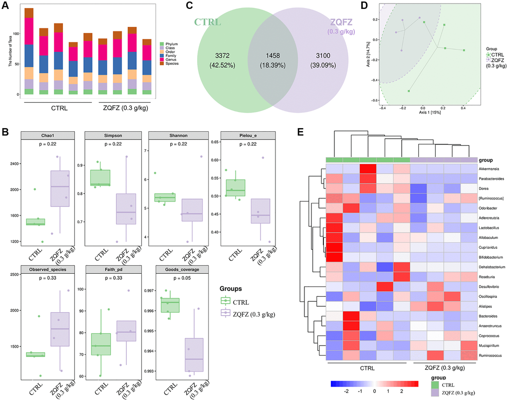 ZQFZ regulated the intestinal microflora. (A) Statistical chart of microbial taxon (B) Chao1, Simpson, Shannon, Pielou’s evenness, observed species, Faith’s phylogenetic diversity and Good’s coverage index values from alpha diversity analysis of the two groups. (C) Venn diagram. (D) PCoA of beta diversity analysis. (E) Heatmap of the 20 bacterial genera with the most significantly different abundance, clustered for UPGMA according to euclidean distance of species composition data. Data are expressed as the mean (n = 4 or 5 mice/group).