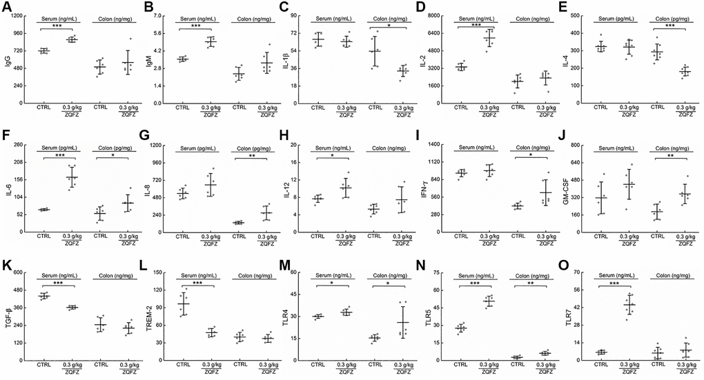 ZQFZ regulated the cytokines related to immunity. The levels of 15 factors related to immunity in the serum and colorectum of ApcMin/+ mice were detected by ELISA kits: (A) IgG, (B) IgM, (C) IL-1β, (D) IL-2, (E) IL-4, (F) IL-6, (G) IL-8, (H) IL-12, (I) IFN-γ, (J) GM-CSF, (K) TGF-β, (L) TREM-2, (M) TLR4, (N) TLR5 and (O) TLR7. The data was expressed as the mean ± SD and analyzed via a one-way ANOVA test (n = 6 or 7 mice/group). *p **p ***p 
