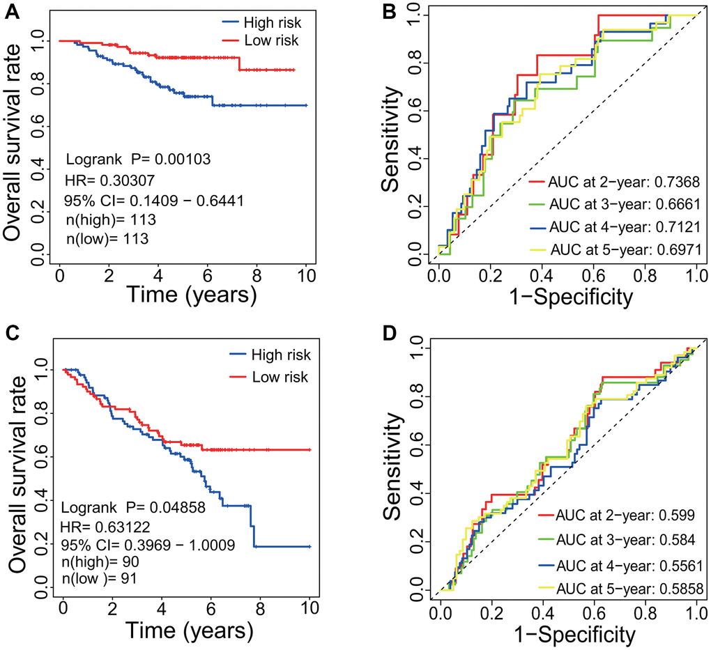 Evaluation of prognostic signature. (A) Survival curve based on GSE31210 dataset. LUAD patients in the low-risk group had a higher OS rate than that in the high-risk group (p=0.00103, HR=0.30307, 95% CI=0.1409-0.6441). (B) ROC curve based on GSE31210 dataset. The AUCs of 2-, 3-, 4- and 5-year associated with the survival were separately 0.7386, 0.6661, 0.7121 and 0.6971. (C) Survival curve based on GSE50081 dataset. LUAD patients in the low-risk group had a higher OS rate than that in the high-risk group (p=0.04858, HR=0.63122, 95% CI=0.3969-1.0009). (D) ROC curve based on GSE50081 dataset. The AUCs of 2-, 3-, 4- and 5-year associated with the survival were separately 0.599, 0.584, 0.5561 and 0.5858. LUAD, lung adenocarcinoma; OS, overall survival; HR, hazard rate; ROC, receiver operating characteristic; AUC, area under the curve; CI, confidence interval.