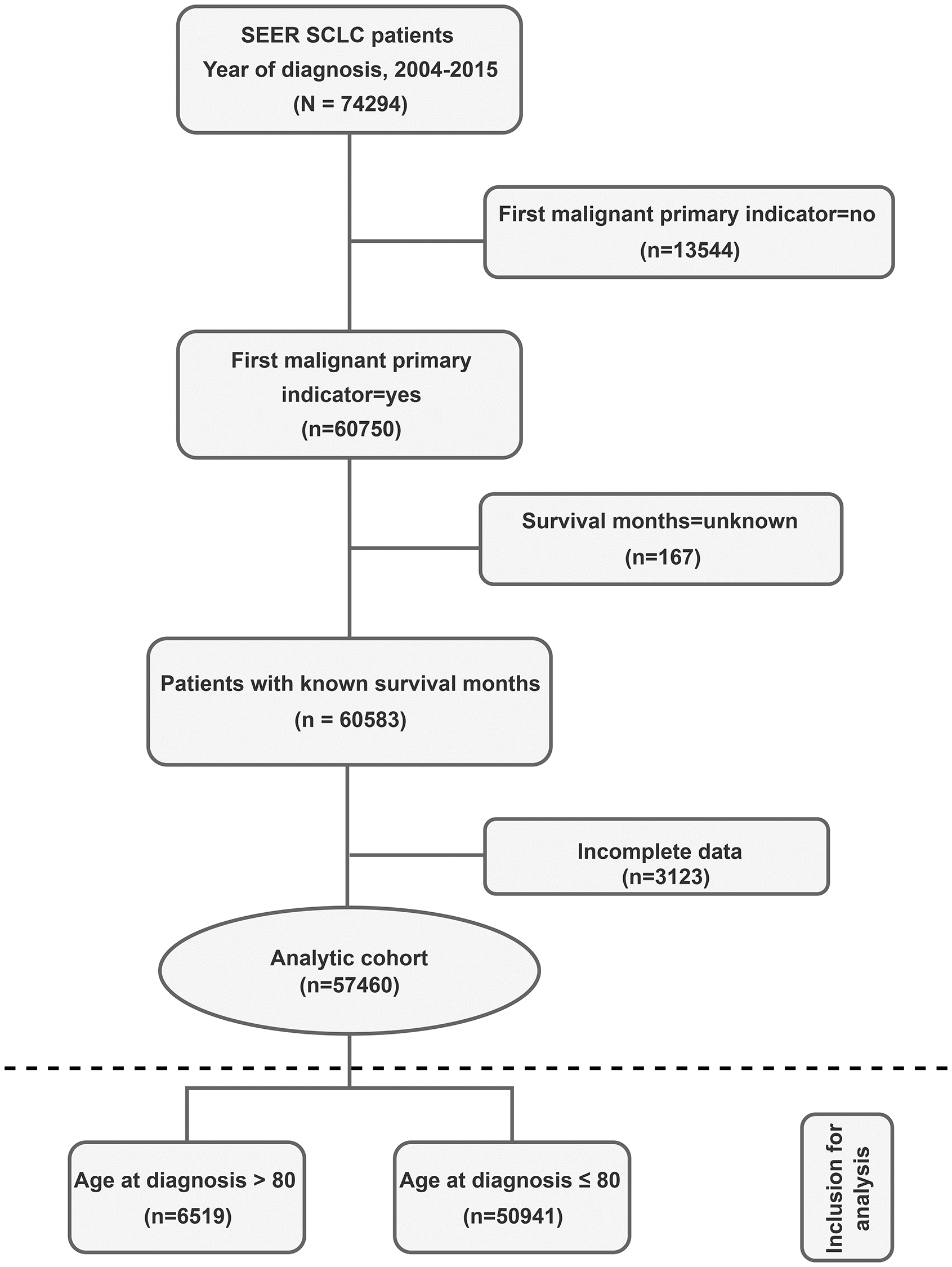 Small Cell Lung Cancer Guide, Understanding SCLC