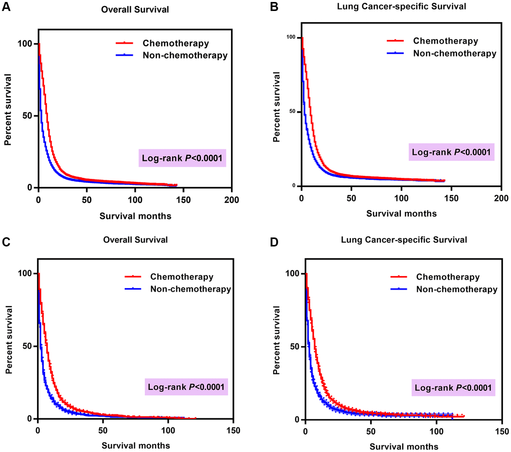 Comparison of survival curves between chemotherapy group and group without chemotherapy. (A) Comparison of OS in patients ≤ 80 years old; (B) Comparison of LCSS in patients ≤ 80 years old; (C) Comparison of OS in patients >80 years old; (D) Comparison of LCSS in patients > 80 years old. Abbreviations: OS: Overall survival; LCSS: Lung cancer-specific survival; Cum: Cumulative.