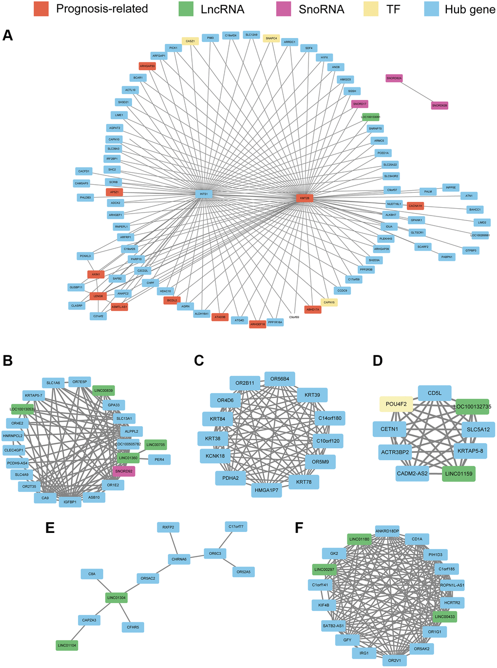 Co-expression network constructed with hub genes in the turquoise module (A), cyan module (B), green module (C), magenta module (D), salmon module (E), and pink module (F). Every node represents a hub gene or hub gene of co-expressed genes; genes significantly correlated with prognosis are colored red. LncRNAs, SnoRNAs, and transcription factors (TFs) are vital regulatory molecules and are colored with green, purple, and yellow, respectively. For the turquoise module, to obtain a clear picture, the edges weighted above 0.25 are displayed, whereas in the other six modules, edges weighted above 0.1 are displayed.