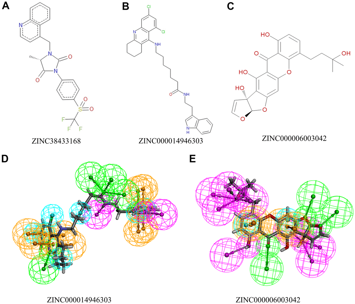 Effective natural inhibitors targeting IGF1R by computational study Figure f2 Aging