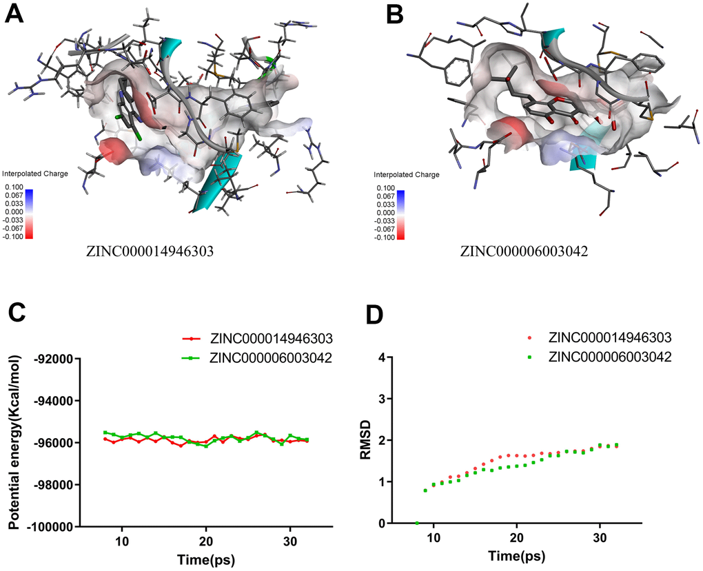 Schematic drawing of interactions between ligands and IGF-1R. (A) ZINC000014946303-IGF-1R complex. (B) ZINC000006003042-IGF-1R complex. (C) Potential Energy. (D) Average backbone RMSD.