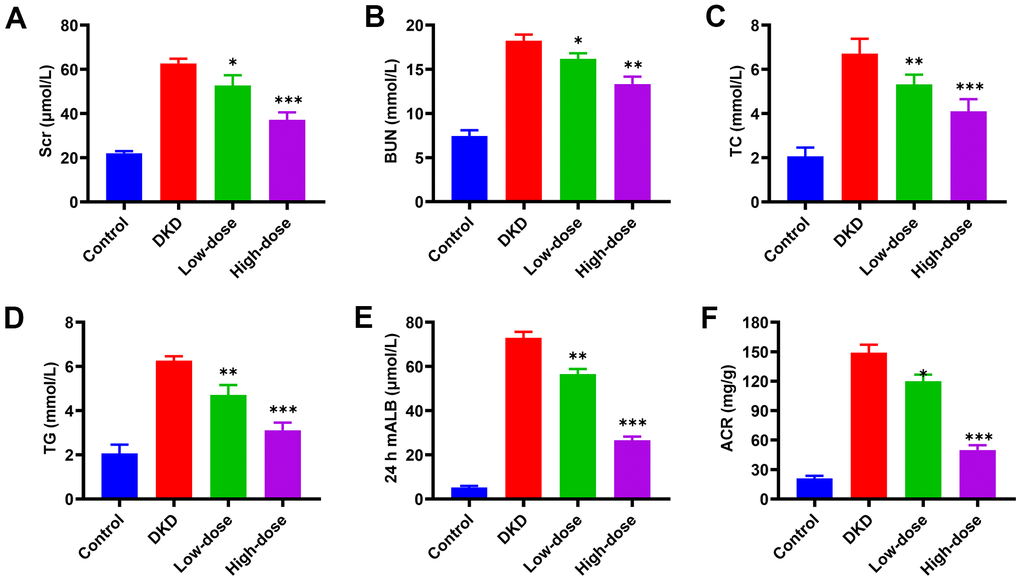 Effects of Qidantang Granule on serum and urine biochemical indicators in DKD rats. The DKD rats were administered with 50 mg/kg (low-dose) and 200 mg/kg (high-dose) Qidantang Granule for 9 weeks by gavage. (A) SCr levels in the serum of rats in each group; (B) BUN levels in the serum of rats in each group; (C) TC levels in the serum of rats in each group; (D) TG levels in the serum of rats in each group; (E) mALB levels in the urine of rats in each group; (F) ACR levels in the urine of rats in each group. n=6. *p 