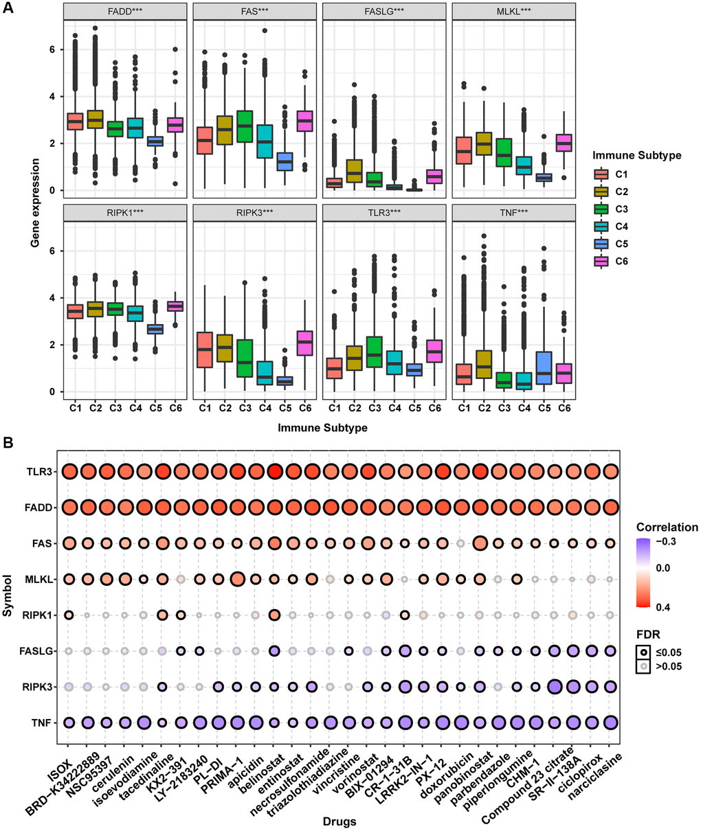 Immune subtype and drug sensitivity analysis of necroptosis-related regulators. (A) Expression differences of necroptosis-related regulators between six pan-cancer immune subtypes. (B) Bubble plot showing the correlation between drug sensitivity (IC50) and gene expression level of necroptosis-related regulators in CTRP database. Positive correlation (red bubble) indicates one gene with high expression was resistant to a drug, while negative correlation (blue bubble) indicates one gene with high expression was sensitive to a drug. The color depth and size of bubble are positively correlated with the correlation coefficient and the FDR significance, respectively. Black outline border indicates FDR ≤ 0.05.