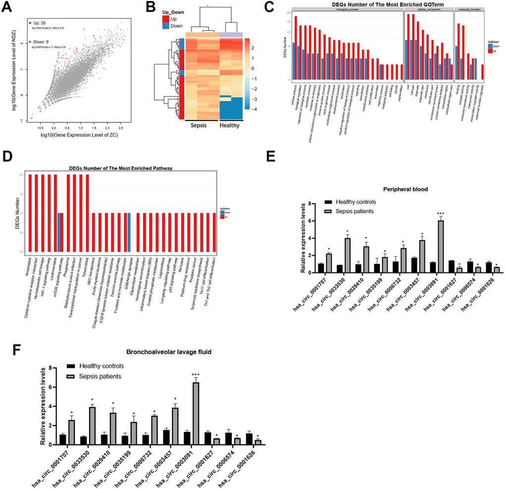 Differential expression of circRNAs in sepsis patients. (A) The scatter plot shows the circRNAs expression profiles between sepsis patients and healthy subjects. (B) Dysregulated circRNAs between sepsis patients and healthy subjects. (C, D) GO and KEGG enrichment analyses of dysregulated circRNAs between the two groups. (E, F) Validation of expression changes in top 10 circRNAs. *p p 