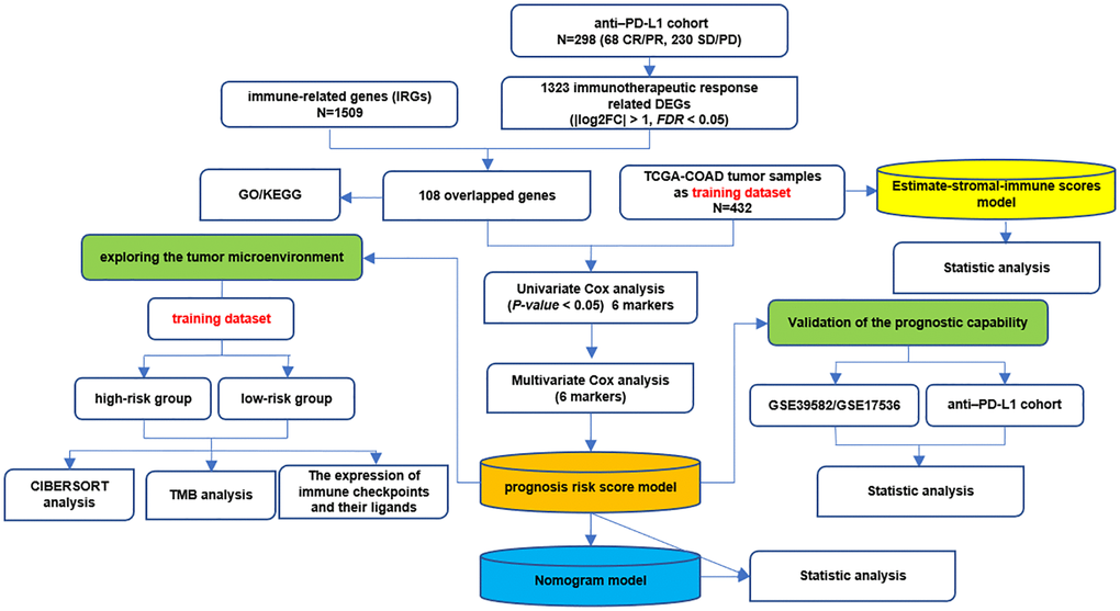 The whole analysis flow of this study.