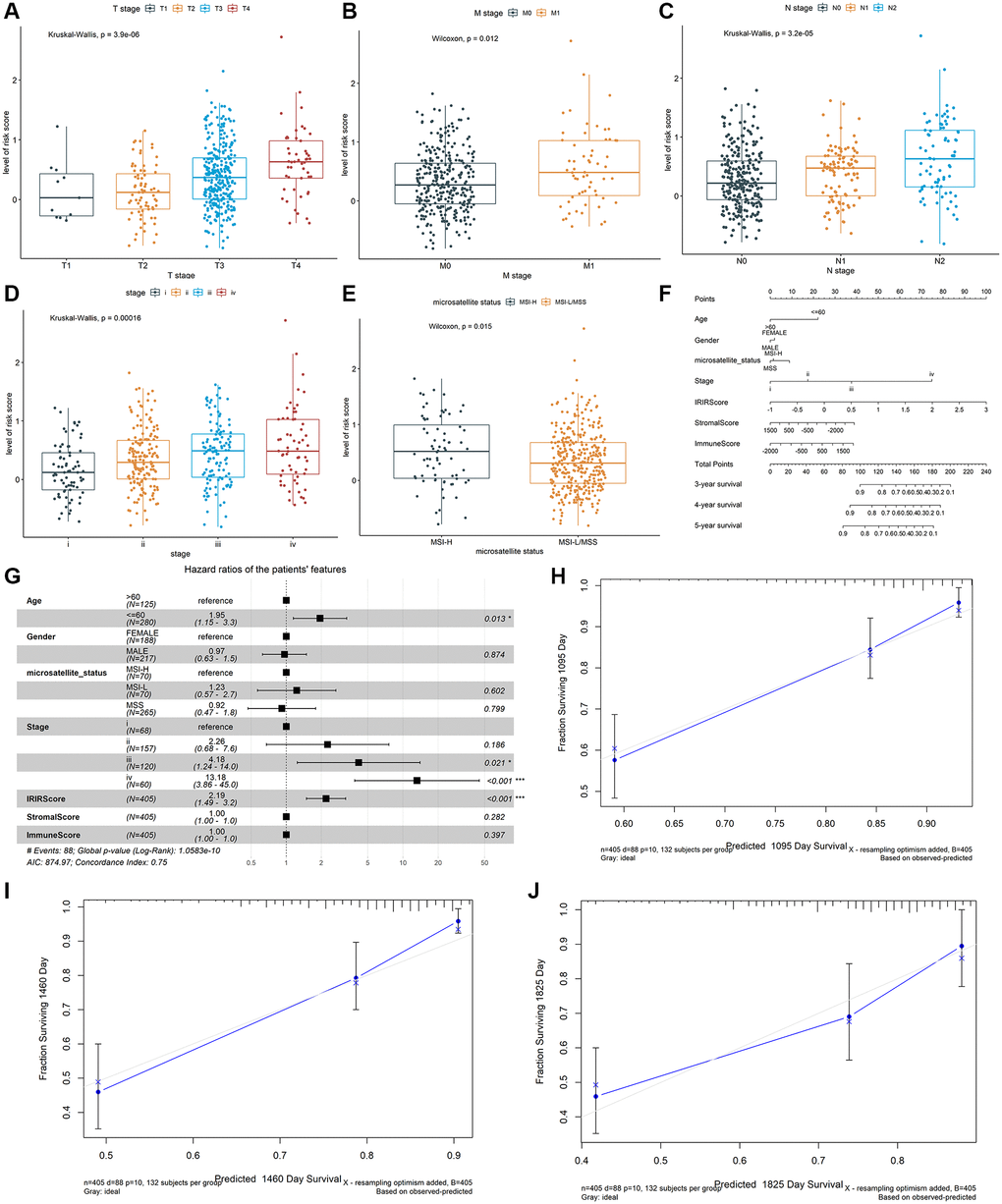 The association between the IRIRScore and the clinical-pathological characteristics, including (A) T stages, (B) M stages, (C) N stages, (D) advanced pathological stages, and (E) microsatellite status Construction and validation of a nomogram. (F) Nomogram to predict the probability of OS in 3, 4 and 5 years for colon cancer. (G) Forest plots showing the associations between patient's characteristics and OS. (H–J) Calibration plot of the nomogram to predict the probability of OS at 3, 4 and 5 years.