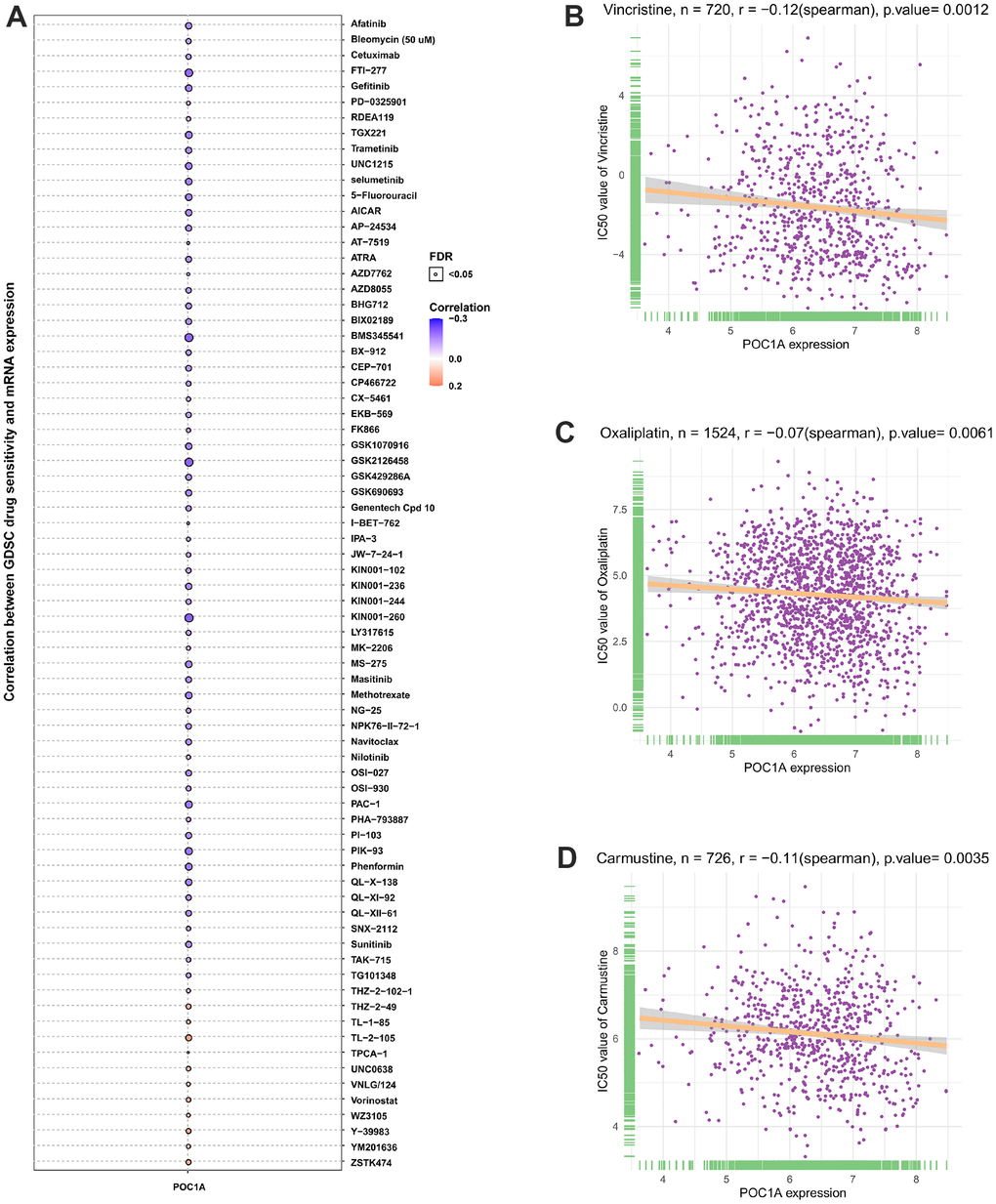 POC1A correlation with anticancer drugs IC50 values. (A–D) The correlation between POC1A expression and IC50 values of indicated anti-cancer drugs.