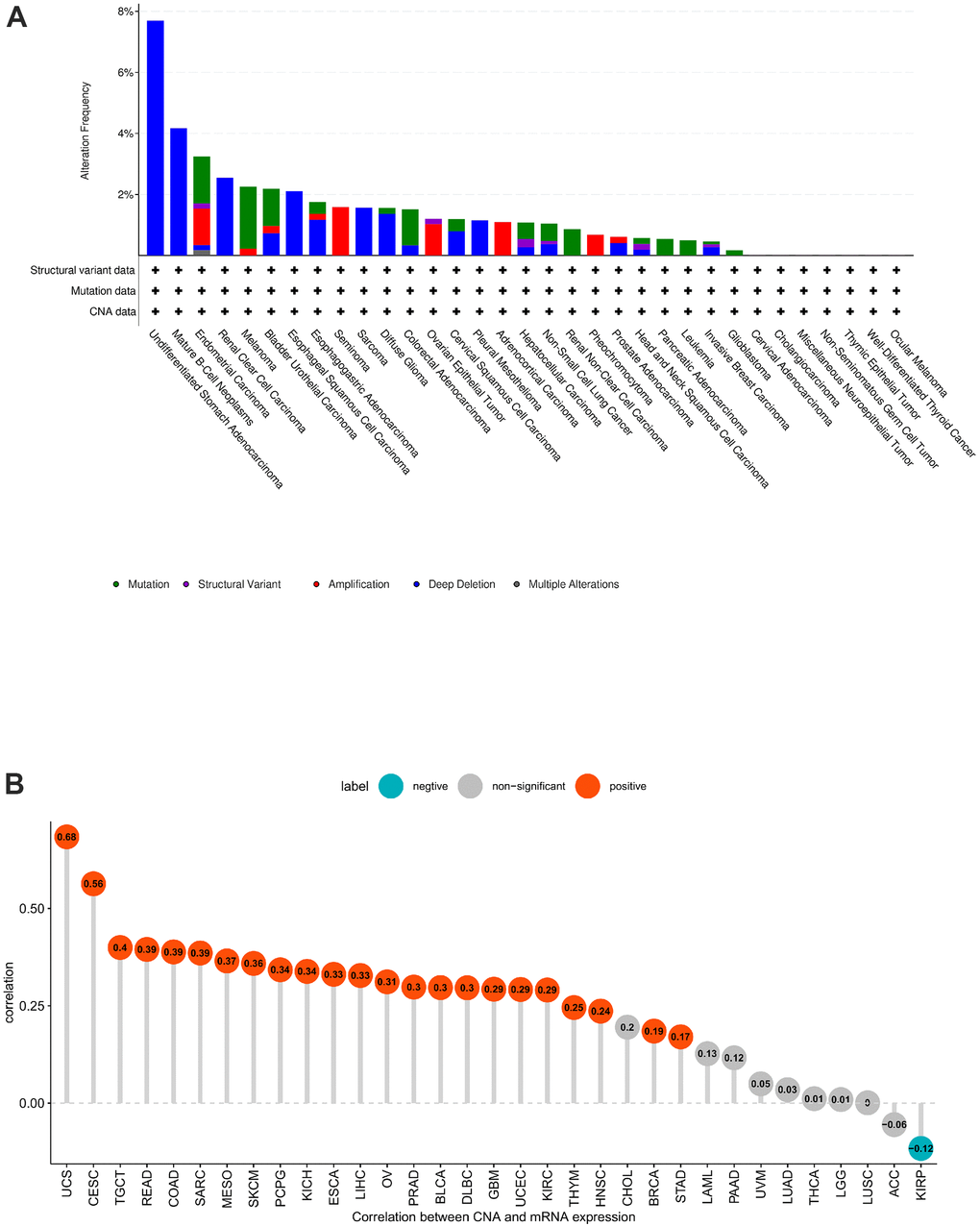 POC1A gene alteration. (A) POC1A mutation and CNA status in TCGA pan-cancer. (B) Correlation of POC1A expression with CNA.