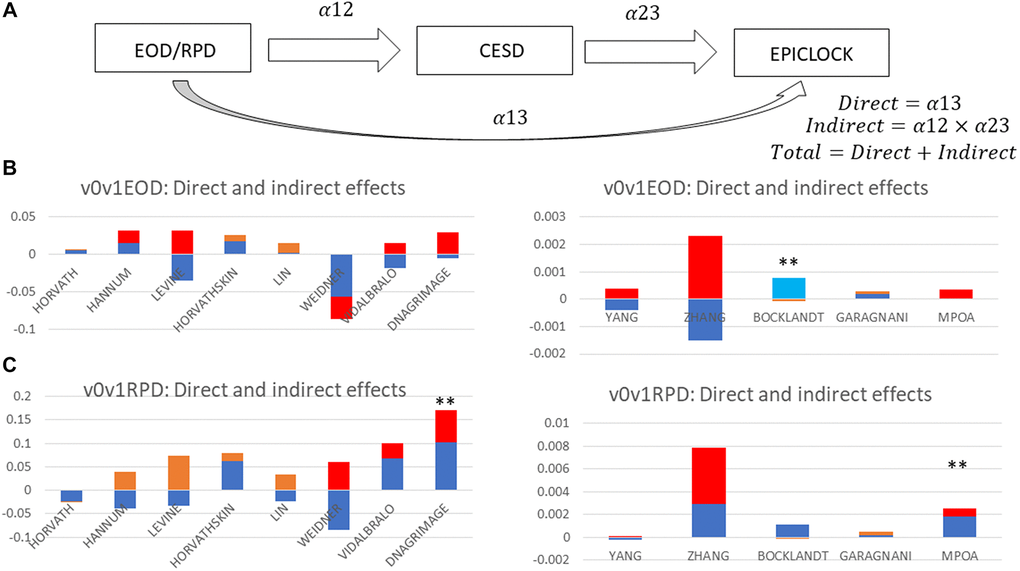 Total, direct and indirect effects of perceived discrimination measures on epigenetic clocks through depressive symptoms: structural equations modeling (sem); hrs 2010–2016 (n = 2,806). (A) SEM mediation model. (B) EOD as Exposure. (C) RPD as Exposure. Abbreviations: EOD: Experience of Discrimination; HRS: Health and Retirement Study; RPD: Reasons for perceived discrimination; v0: baseline visit, wave 10 (2010); v1: first follow-up visit, wave 11 (2012); v2: second follow-up visit, wave 12 (2014); v3: third follow-up visit, wave 13 (2016); v0v1: combined visits 0 and 1; v2v3: combined visits 2 and 3. See Supplementary Methods for epigenetic clock abbreviations. Note 1: SEM was conducted on epigenetic clocks as alternative outcomes, v2v3CESD total score as the mediator and EOD or RPD at v0v1 as alternative exposures. Exogenous variables are estimated age at v3, sex, and race. Figure 3 decomposes the total into direct and indirect effects of each measure of perceived discrimination. All path coefficients are shown in detail in Supplementary Table 5. Note 2: Red = Significant indirect effect at type I error of 0.05; Light blue = Significant direct effect at type I error of 0.05; Orange = Indirect effect, P > 0.05 for null hypothesis indirect effect = 0; Dark blue = Direct effect, P > 0.05 for null hypothesis direct effect = 0; **P 
