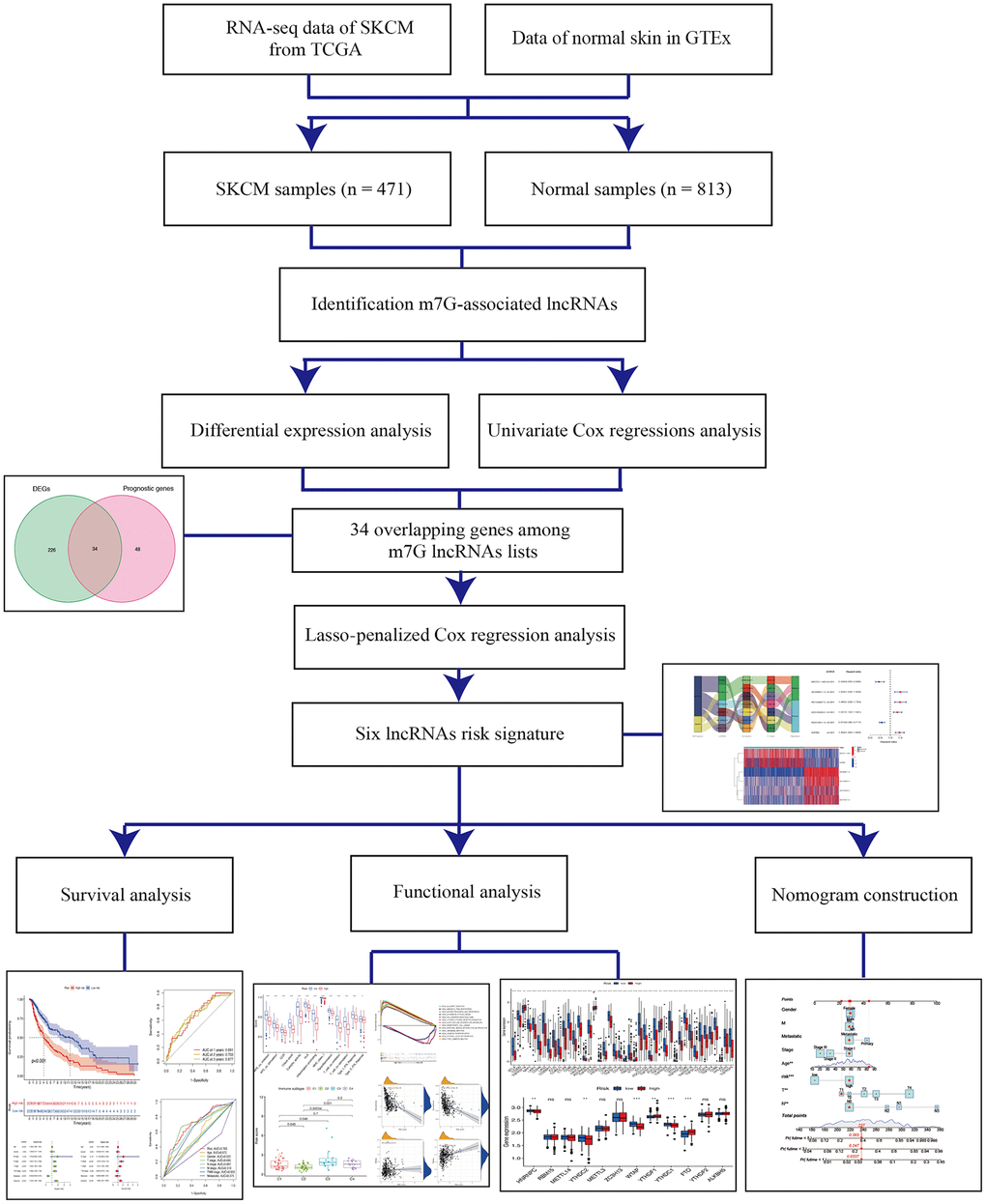 Schema of the study.