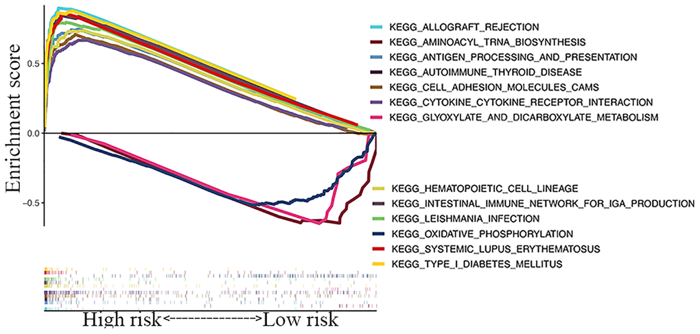 GSEA of top 13 enriched pathways in risk signature.