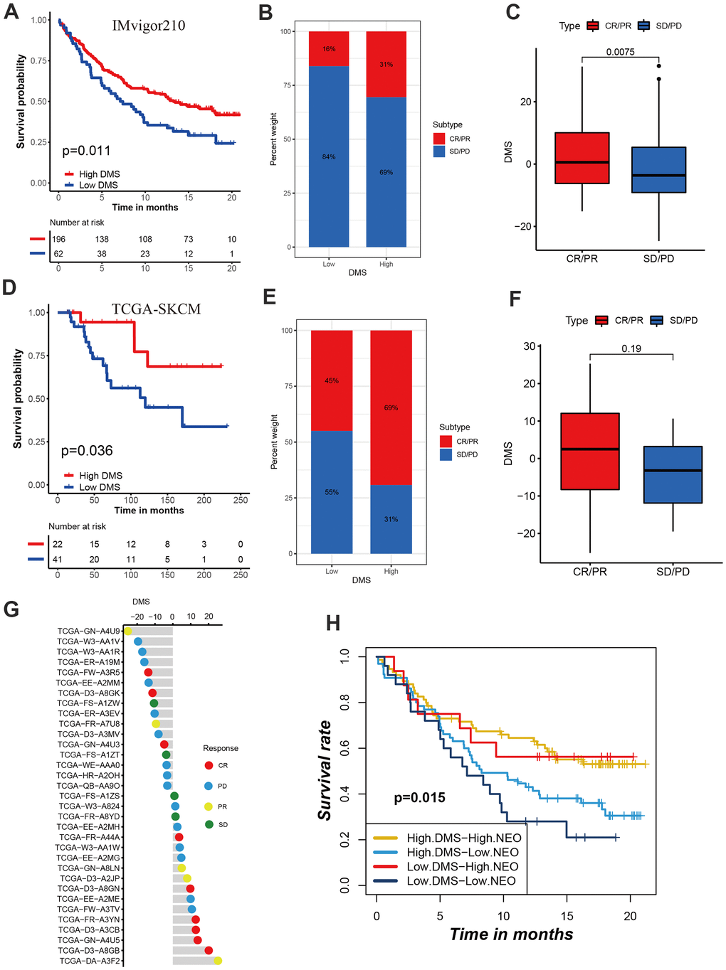 Role of DMS in predicting efficacy of immunotherapy. (A) Kaplan-Meier curves displaying the survival difference of high and low DMS groups in IMvigor210 cohort. (B) The ratio of clinical response types in high DMS and low DMS groups in the IMvigor210 cohort when treated with anti-PD-1 immunotherapy. (C) Differences in DMS score between different clinical response types in the IMvigor210 cohort. (D) Survival analyses for DMS in TCGA-SKCM cohort. (E) The ratio of clinical response types in each group in the TCGA-SKCM cohort. (F, G) Differences in DMS score between different clinical response types in the TCGA-SKCM cohort. (H) Survival analyses for patients receiving anti-PD-L1 immunotherapy stratified by both neoantigen burden and DMS signature. (I) Differences in DMS score among different immune phenotypes. CR, complete response; PR, partial response; SD, stable disease; PD, progressive disease. NEO, neoantigen burden.