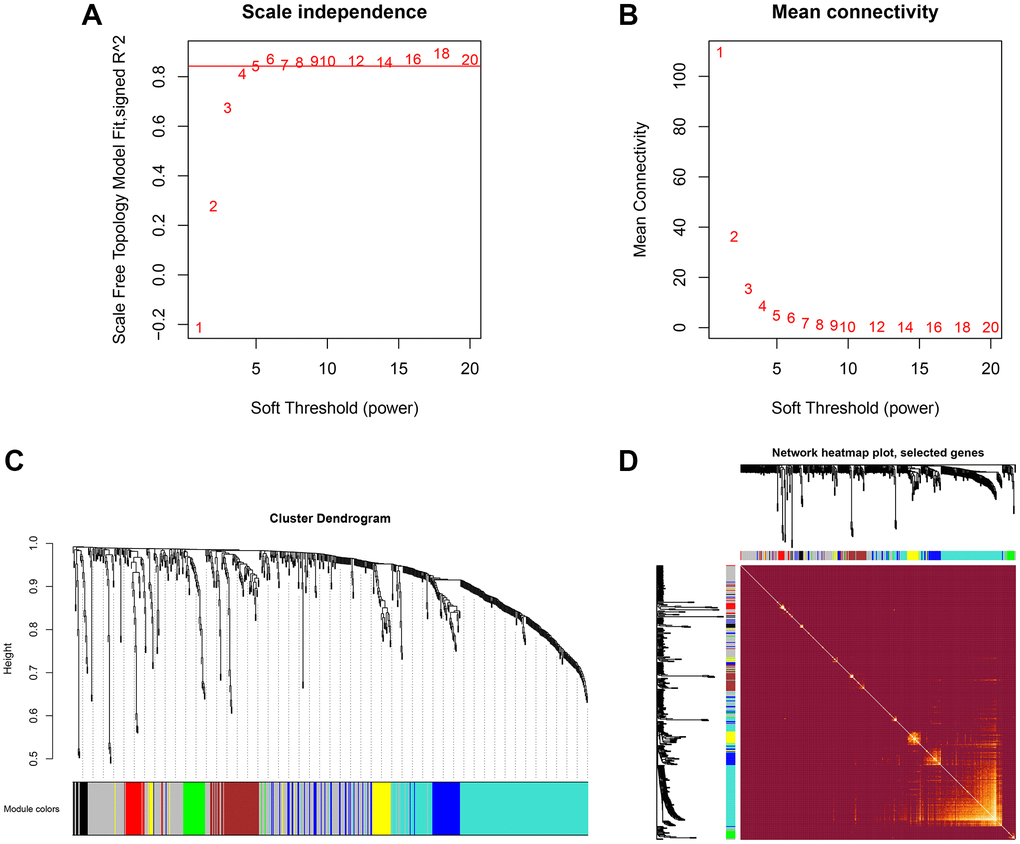 Hierarchical clustering and co-expressed modules identified by WGCNA. (A, B) the scale-free network, was created with the scale-free R2 = 0.8 and soft threshold = 10 to obtain the best-fit topology model. (C) 10 modules were identified based on the hierarchical clustering dendrogram of proteins. (D) The topological overlap map (TOM) for distinctive modules.