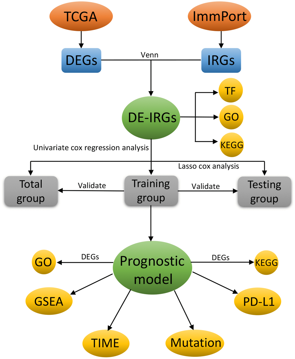 The flowchart of this study.