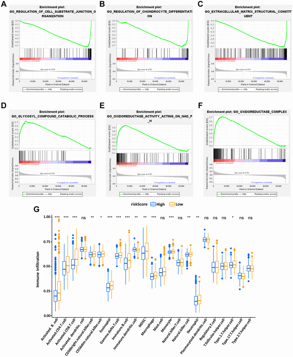 Enrichment plots of Gene Ontology annotation from gene set enrichment analysis (GSEA). GSEA results showed that the regulation of cell substrate junction organization (A), Regulation of chondrocyte differentiation (B), and Extracellular matrix structural constituent (C) were differentially enriched in low-risk phenotype, while Glycosyl compound catabolic process (D), Oxidoreductase activity on NADPH (E) and Oxidoreductase complex (F) were enriched in the high-risk phenotype. The expression abundance of different TME infiltrating cells in the high- and low-risk group (G). The upper and lower end of the box represented the quartile range of the value, the middle line represented the median value, and the asterisk represented the statistical p-value (*P **P ***P 