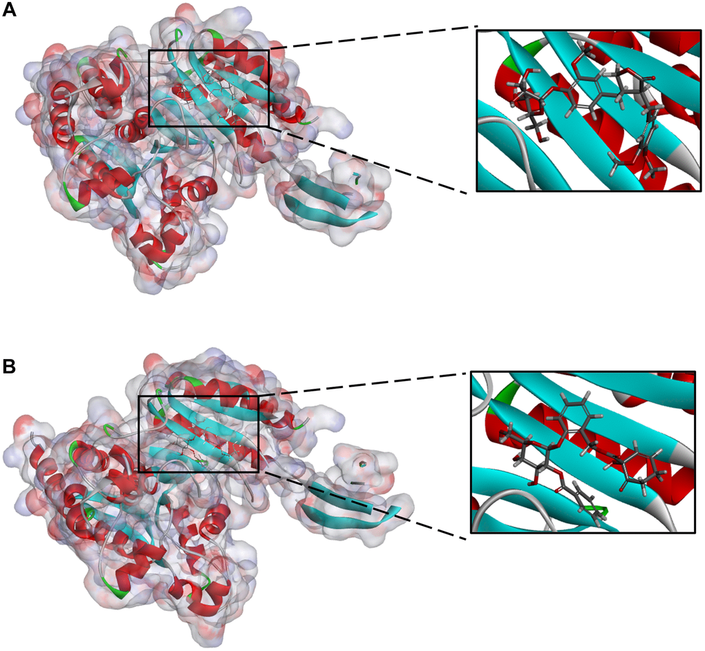 (A) ZINC000004098459-IDH1