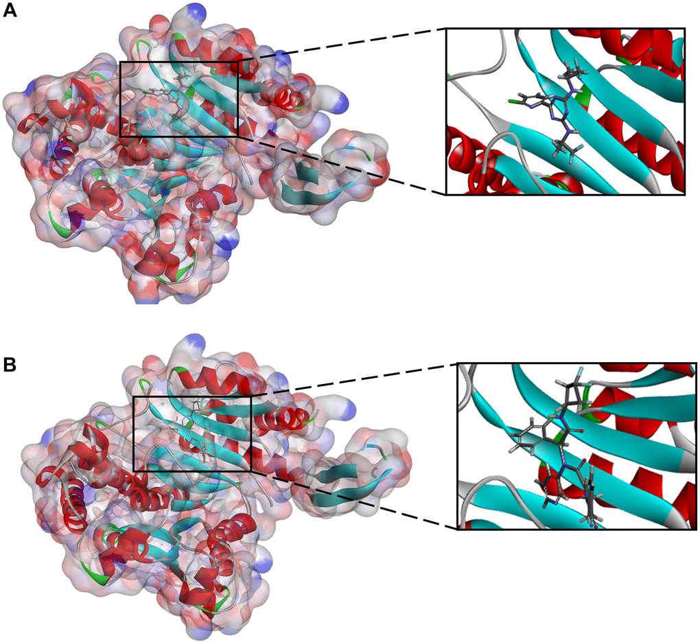 (A) Vorasidenib -IDH1