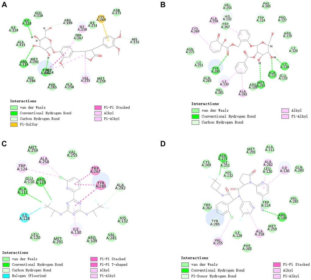 The inter-molecular interaction of the predicted binding modes of (A) ZINC000004098459 to IDH1