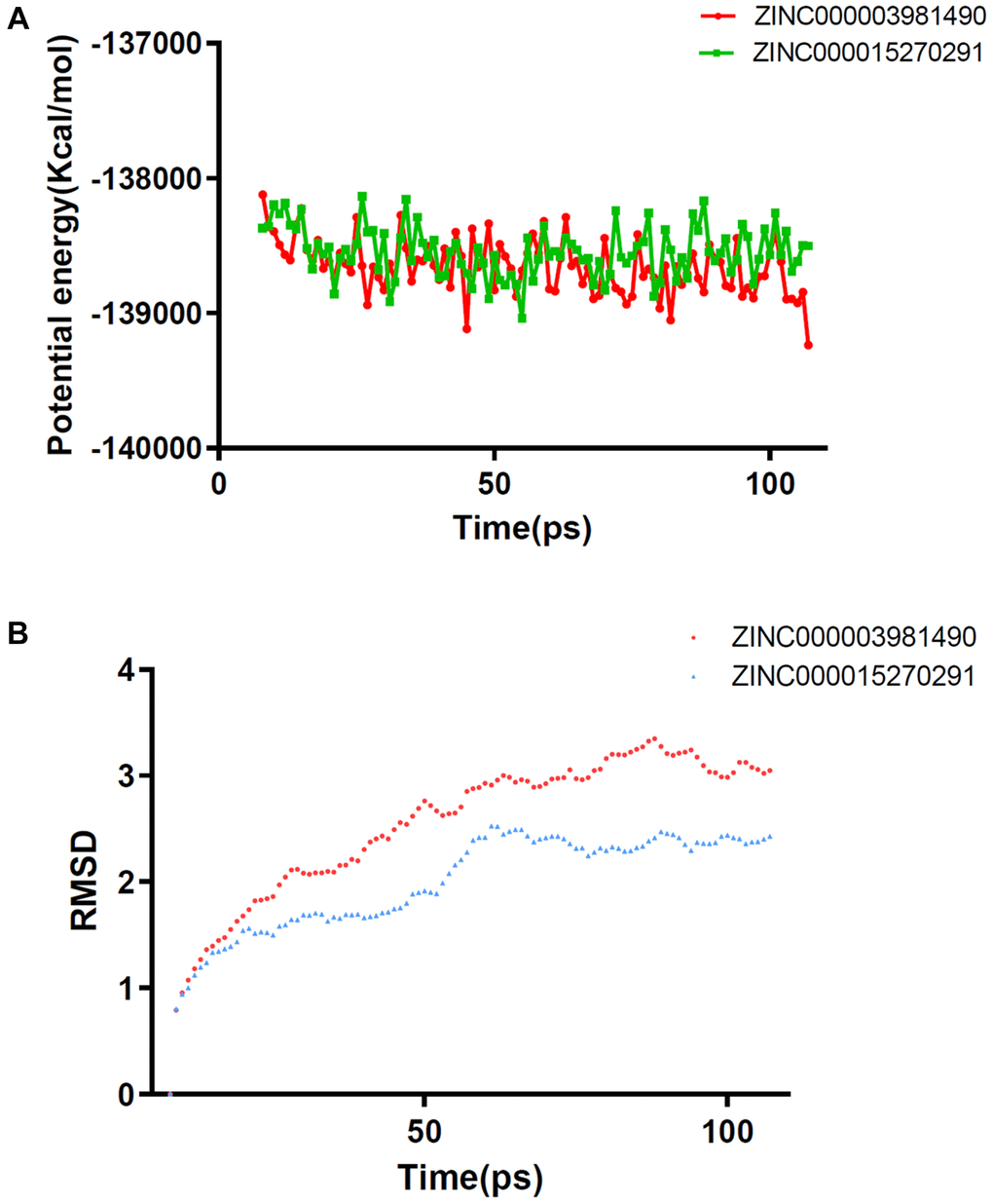 Results of molecular dynamics simulation of two complexes (A) Potential Energy (B) Average backbone RMSD.