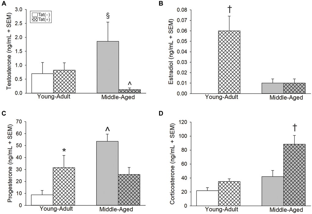 Circulating steroids (ng/mL) among young adult and middle-aged HIV-1 Tat-transgenic male mice [Tat(+)] or their non-Tat-expressing age-matched counterparts [Tat(−)]. (A) Testosterone, (B) estradiol, (C) progesterone, and (D) corticosterone detected in serum. §indicated group differs from young adult Tat(−) controls. ^significant interaction wherein indicated group differs from respective Tat(−) controls. †indicated group differs from all other groups. *main effect for Tat(+) mice to differ from Tat(−) controls, (two-way ANOVA, p 