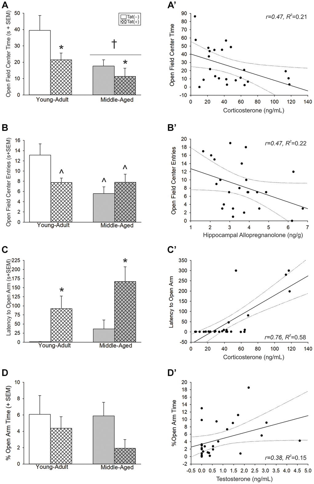 (A–D) Anxiety-like behavior in the open field and elevated plus-maze and (A’–D’) simple linear regressions between circulating and central steroid hormones among young adult and middle-aged HIV-1 Tat-transgenic male mice [Tat(+)] or their non-Tat-expressing age-matched counterparts [Tat(−)]. (A) Time (s) spent in the brightly-lit center of an open field. (B) Numbers of entries made into the center of an open field. (C) Latency (s) to enter the open arms of an elevated plus-maze. (D) The proportional time spent in the open arms of an elevated plus-maze. Regressions between (A’) circulating corticosterone and center time, (B’) hippocampal allopregnanolone and center entries, (C’) circulating corticosterone and latency to enter open arms, and (D’) circulating T and proportional open arm time. *main effect for Tat genotype wherein Tat(+) mice to differ from Tat(−) mice. †main effect for middle-aged mice to differ from young adult mice. ^significant interaction wherein indicated group differs from young adult Tat(−) controls. Regression lines (solid) are depicted with 95% confidence intervals (dotted), (two-way ANOVA, p 