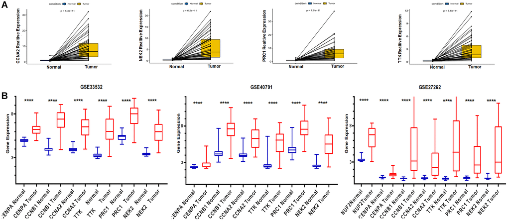 Application of TCGA and GEO databases to validate the expression of risk genes. (A) Pairwise analysis from TCGA. (B) GEO database external validation of risk genes expression.