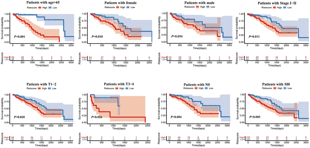 Kaplan-Meier survival analysis of the risk score for LUAD patients grouped by clinicopathological features.