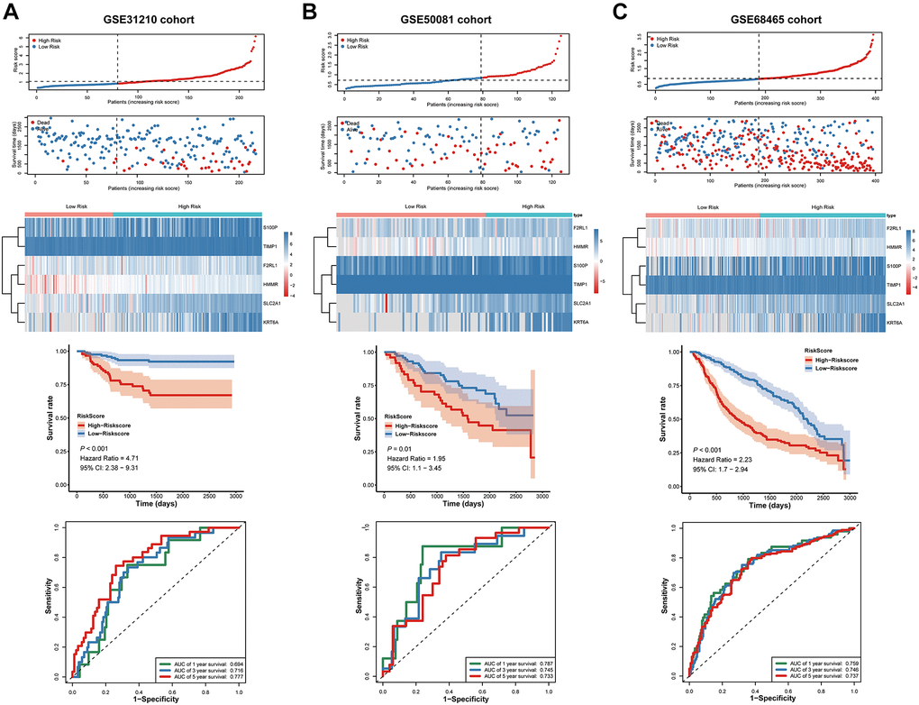 Validation of the prognostic signature in the GSE31210, GSE50081 and GSE68465 cohort. (A–C) the risk score and the survival status of LUAD patients, Kaplan-Meier survival analysis, ROC analysis.