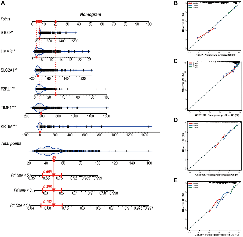 Construction of a nomogram based on the prognostic signature. (A) The nomogram based on the signature. (B–E) Calibration curves of nomogram for the signature. *P **P ***P 