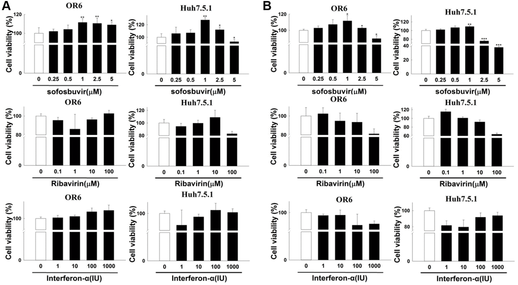 The effects of sofosbuvir, ribavirin and interferon-α on cell proliferation of HCC cells. (A) Two-dimensional cell proliferation assay in OR-6 and Huh 7.5.1 cells treated with different doses of SOF (0.25 to 5 μM), interferon-α (1 to 1000 IU) and ribavirin (0.1 to 100 μM) for 24 hrs were performed. (B) The OR-6 and Huh 7.5.1 cells were grown in three-dimensional culture dish and treated with different doses of SOF (0.25 to 5 μM), interferon-α (1 to 1000 IU) and ribavirin (0.1 to 100 μM) for 24 hrs to inspect cell proliferation. The experiments were performed from three independent experiments. (*p **p ***p 