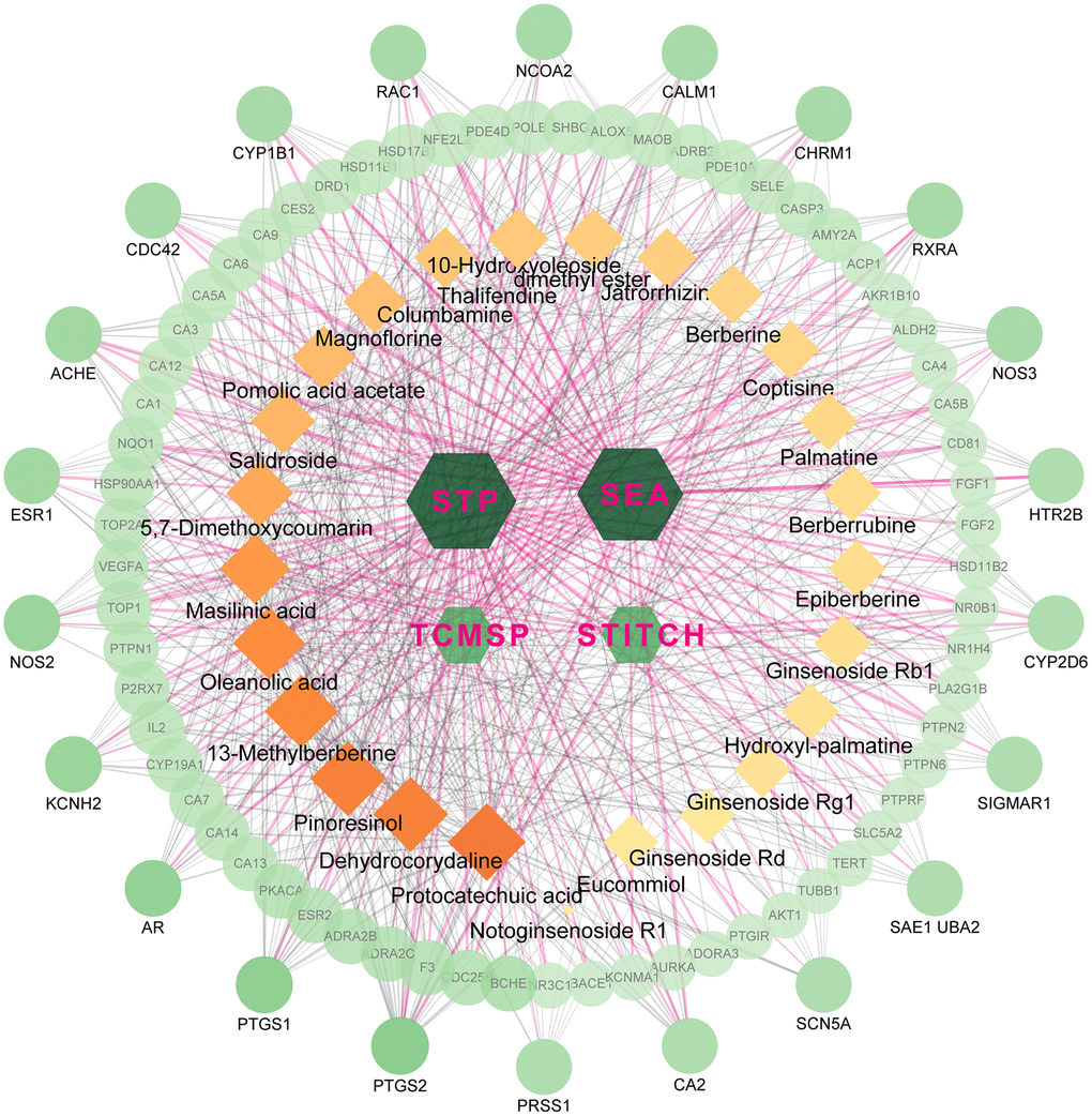 The network for database-compound-target connection. This network consists of 623 nodes and 1870 edges. The hexagon nodes represent the databases, rectangles represent the compounds and round ones represent targets. All nodes’ area and color changes are shown according to their degree value, and only gene nodes whose degree greater than 5 are presented for better clarity and concise presentation. Light purple lines represent the database-target interactions.
