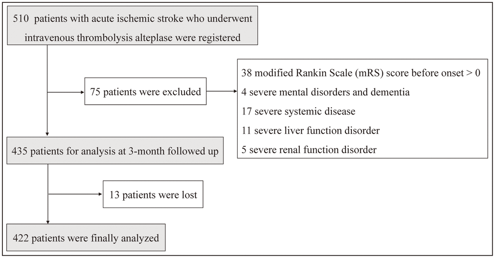 Study flow chart showing the number of patients included in the final analysis.