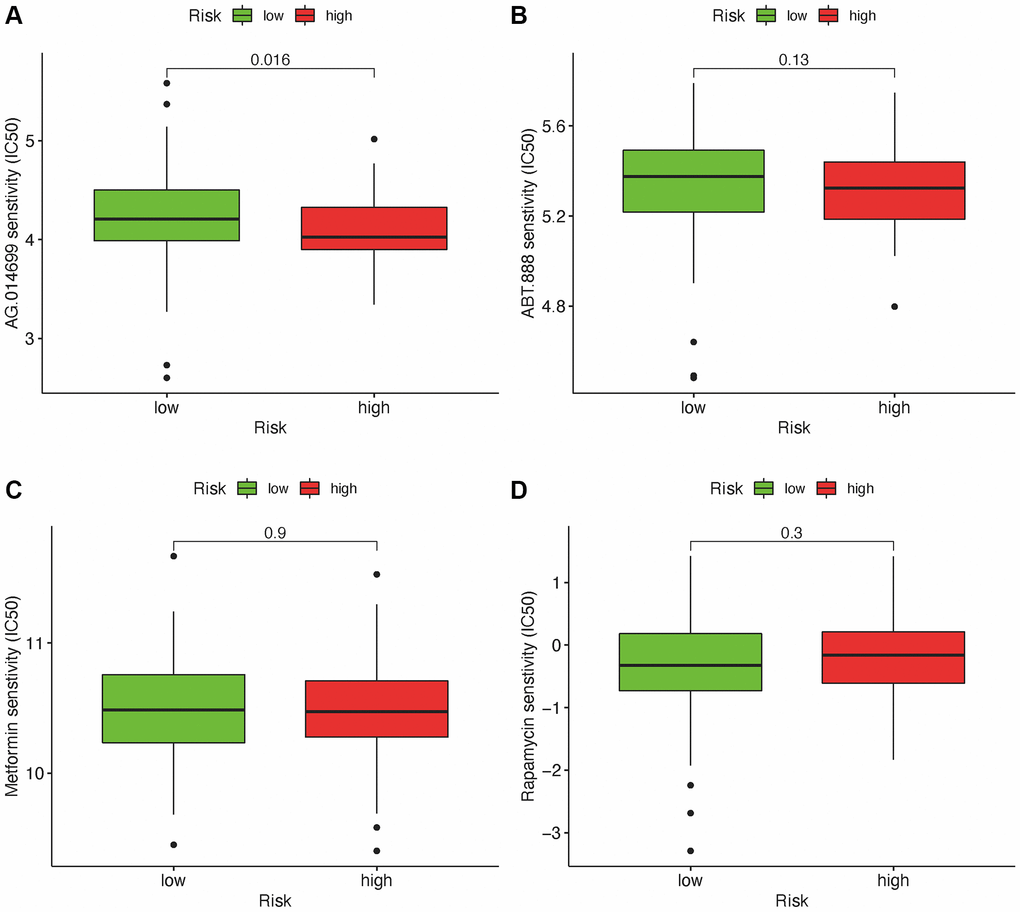 Relationship between risk scores and IC50 of chemotherapeutics. High-risk score was along with a lower IC50 for AG.014699 (p = 0.016): AG.l014599 (A), ABT.888 (B), Metformin (C) and Rapamycin (D).