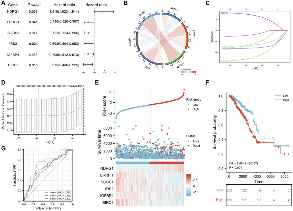 Prognostic analysis of ASI-related DEGs and establishment of a prognostic model. (A) Forest plot of the univariate Cox analysis of 6 ASI-related DEGs. (B) Correlation network of 6 ASI-related DEGs. (C) LASSO coefficient profiles of 6 ASI-related DEGs. (D) Cross-validation for tuning parameter selection in the LASSO regression. (E) The distribution of risk scores, gene expression levels, and survival status of BRCA patients in the training cohort. (F) Kaplan–Meier curves of the OS of all the BRCA patients in the TCGA cohort based on the risk score. (G) Time-dependent ROC curve analysis of the prognostic model (1, 3, and 5 years).