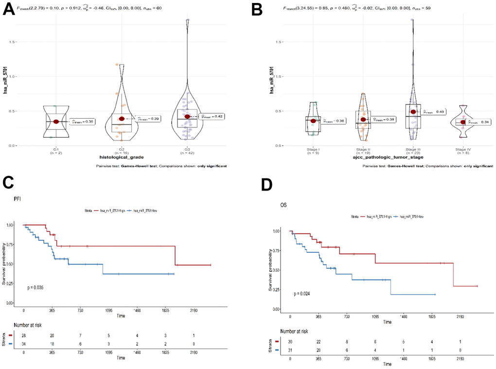 Bioinformatics analysis of miR-5701 in GC. (A, B) The expression of miR-5701 is associated with the pathological and histologic grade of GC. (C, D) Bioinformatics analyses were used to elucidate the effect of miR-5701 in GC tissues. The expression of miR-5701 was related to the PFI (progression-free interval event), OS (overall survival).