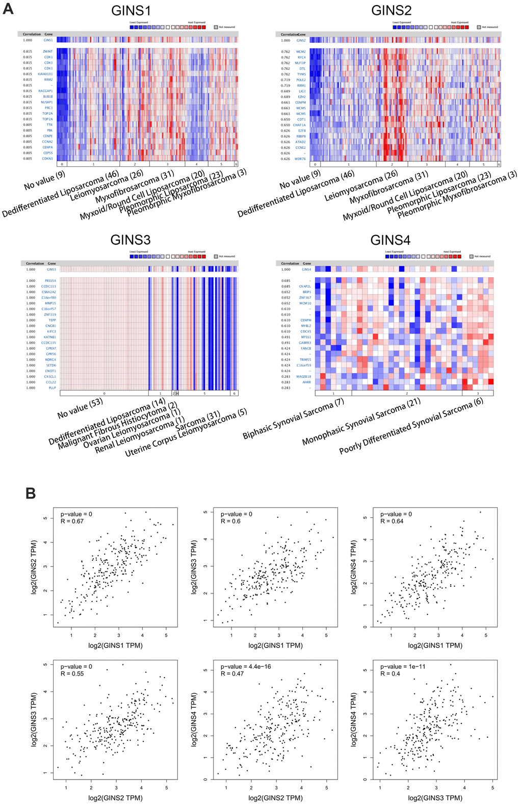 Genes co-expressed with the GINS gene family in human sarcoma tissues. (A) Co-expressed genes of the GINS gene family in sarcomas. (B) Correlation between members of the GINS gene family in tumors analyzed by GEPIA.