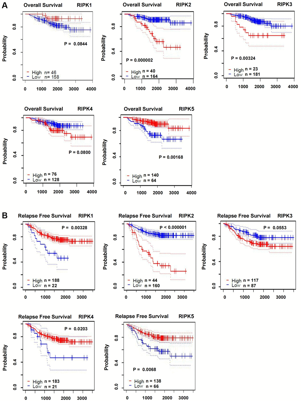 The correlations of RIPK family expression with OS and RSF in LUAD patients. (A) Kaplan-Meier plotter was used to assess the correlation of RIPK family members with the patients’ OS. (B) The correlations of RIPK family expression with RFS in LUAD patients.